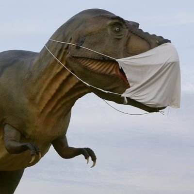 beamqwert's profile picture. Man braucht zwei, um die Wahrheit zu sagen: Einen, der sie ausspricht, und einen, der sie anhört.