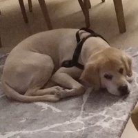 ArmanE (@arman_e) Twitter profile photo