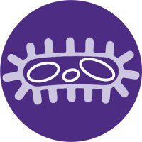 Pironti Lab (@pirontilab) 's Twitter Profile