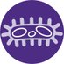 Pironti Lab (@pirontilab) Twitter profile photo Pironti Lab (@pirontilab) Twitter profile photo