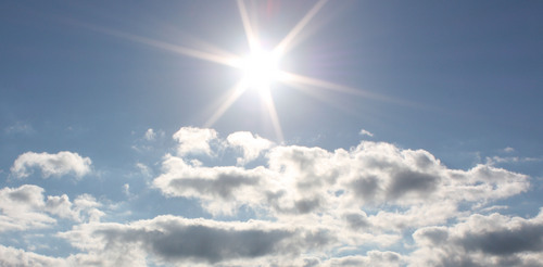 b_runsdc's profile picture. CPA, CGMA, nerd, runner, fitness enthusiast, smoothie maker, mental wellness supporter, skeptical optimist