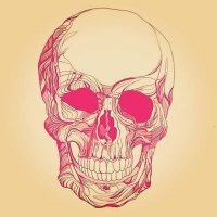 Lightning_n_Shadows (@shadows_n_light) 's Twitter Profile