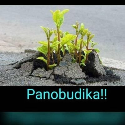 Information communication technologist currently serving as an analyst for Helpdesk deployment and network management.
Open minded but will not tolerate bullie