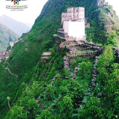 tz7edCSwe0tnehT's profile picture. 