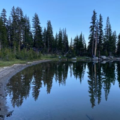 ROBLOXI33069789's profile picture. I love roblox please follow me