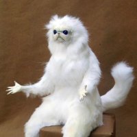 Eric Alexander-Hughes (@avelvetglove) 's Twitter Profile Photo