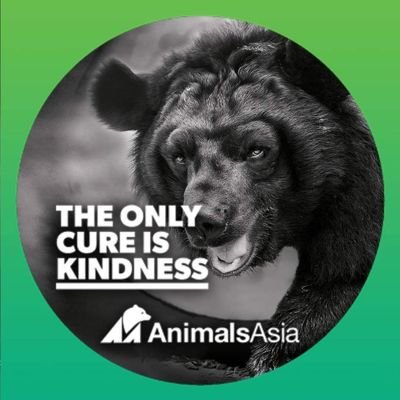 We are a group of dedicated volunteers raising awareness and funds for Animals Asia