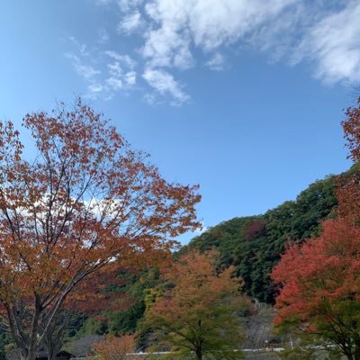 sho_7_7_'s profile picture. 