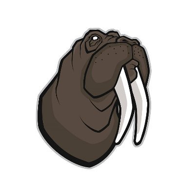 TheRoaring Walrus burps and streams Escape from Tarkov and sometimes other games.