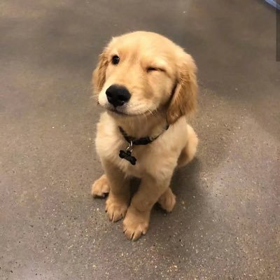 TYKIxNth's profile picture. Sad Sad Love Song