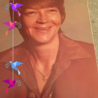 Judy Farmer - @JudyFar29352378 Twitter Profile Photo