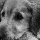 Kyle Larrabee - @Klarrabee1 - Twitter