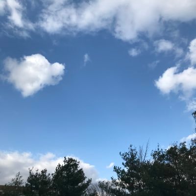 minser1020's profile picture. 