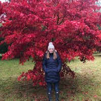 Jill Harrison (@jill_hartlepool) 's Twitter Profile Photo