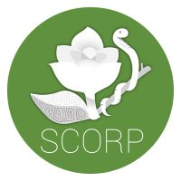 SCORP Panamá (@scorppanama) 's Twitter Profile