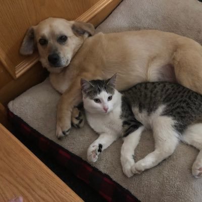 MonicaAquinas's profile picture. 