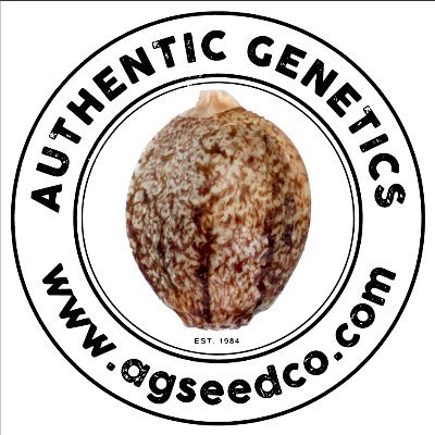 Authentic Genetics - We have the primary colors of cannabis. Premium organic heirloom seeds from the collection of Todd McCormick