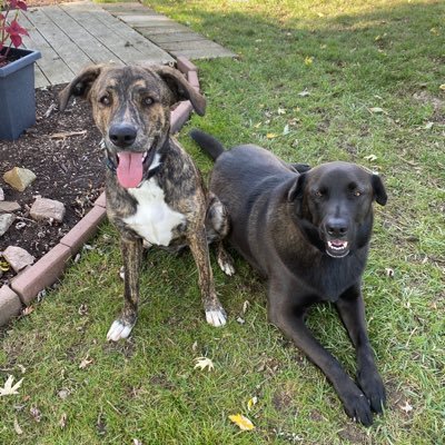 cin31562's profile picture. 