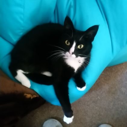 eve151's profile picture. Hermit