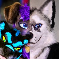 Kory💜Miki💙Razz ➡️ LVFC(@Pup_Leo) 's Twitter Profileg