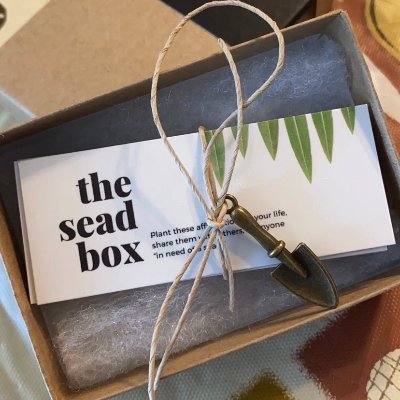 Mini-card affirmation gift box, crafted to elevate what people believe, speak, and feel about themselves one sead at a time 🌱 Blk-Owned ✨ IG: theseadbox