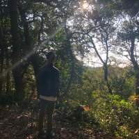fuji(i) (@altered_course) 's Twitter Profile