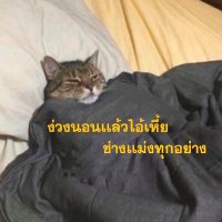 แจแจ ʕ•ᴥ•ʔ♡(@cb_jjmb) 's Twitter Profileg