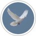 Sozialdemokratisch.ch (@sozialdk) Twitter profile photo Sozialdemokratisch.ch (@sozialdk) Twitter profile photo