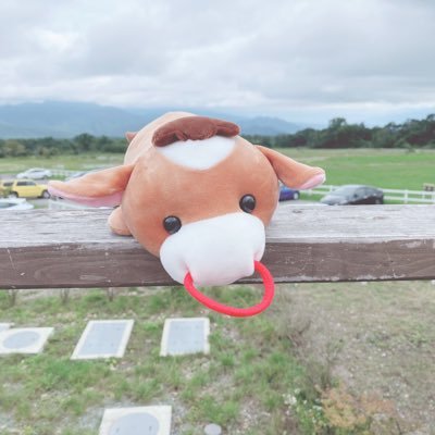 Ri_aks's profile picture. 20↑至らない点があるかとは思いますが、最後まで丁寧に取引させて頂きたいと思います。基本返信は夕方以降になります［手渡し最優先、ゆうちょ対応］