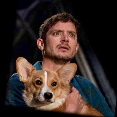 Famous Lil Corgi - K-9 Star of TV’s 2 seasons of Dirk Gently's Holistic Detective Agency. Max from the Resolve commercial, and the Funko Shopping Corgis.