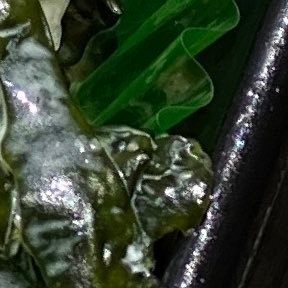 115nonono115's profile picture. 