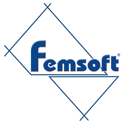 Femsoft Kurumsal Yazılım ve e-Dönüşüm Hizmetleri