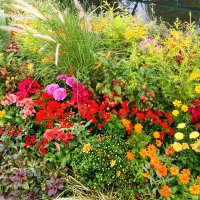 りゅん (@ryunryu_rene) 's Twitter Profile Photo