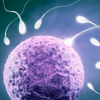 Si te interesa saber que hay de verdad en lo que oyes sobre la fertilidad humana, este es tu sitio. ¡Quédate con nosotros!