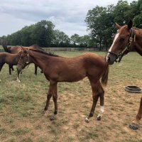 Mulholland Springs Farm (@farmmulholland) 's Twitter Profile