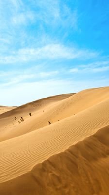 Fal0304's profile picture. #FreeCecileKohler