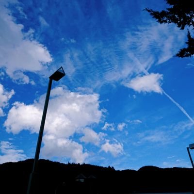 相模 羅小黒戦記円盤 O 劇場版弱虫ペダル 感想 ネタバレばっかり Http T Co Ri5bv3mmwd