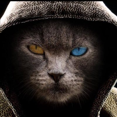 Mathziu's profile picture. 👮‍♂️🇪🇸💪🫡 Cada momento de tu vida es único, quedarte a medias depende de ti.