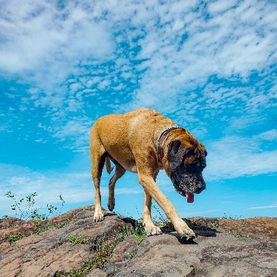 Terpy_Chris's profile picture. 