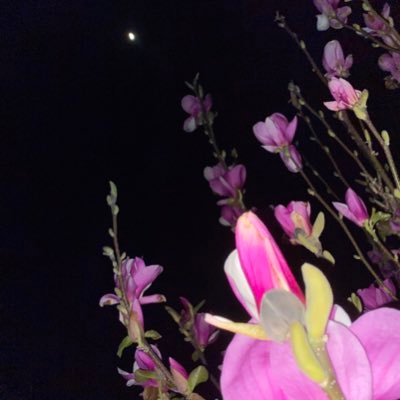 @Sgtch4さんのプロフィール画像