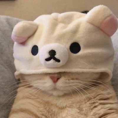 roselyaja's profile picture. gabut aja