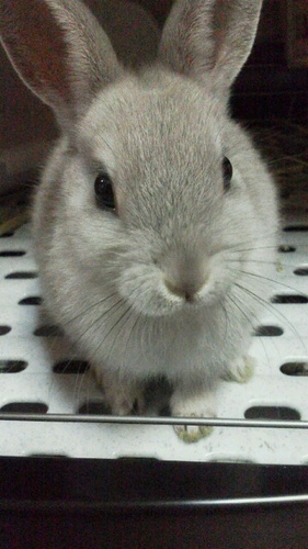 chicca0405's profile picture. 