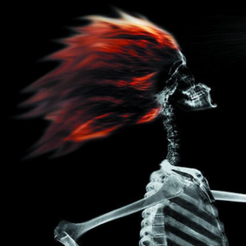 rossbuchholz's profile picture. IT Manager