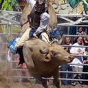 Tyler Hebert - @BrahmaTamer90 - Twitter