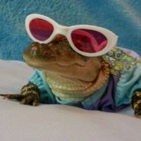zip (@zipbigmacdealer) 's Twitter Profile