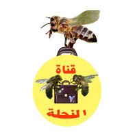 قناة النحلة (@vlwz8dbbyk2smix) 's Twitter Profile Photo قناة النحلة (@vlwz8dbbyk2smix) 's Twitter Profile Photo