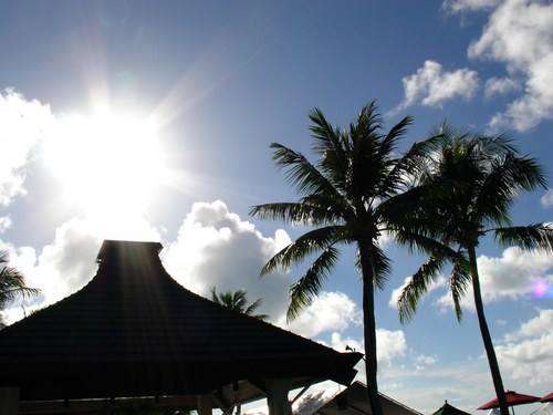 ugakona_hula's profile picture. 