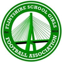 Flintshire School Girls FA (@flintgirlsfa) 's Twitter Profile Photo Flintshire School Girls FA (@flintgirlsfa) 's Twitter Profile Photo