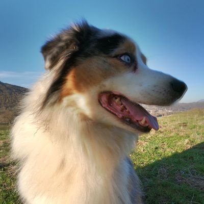 lauraMA83432104's profile picture. chien