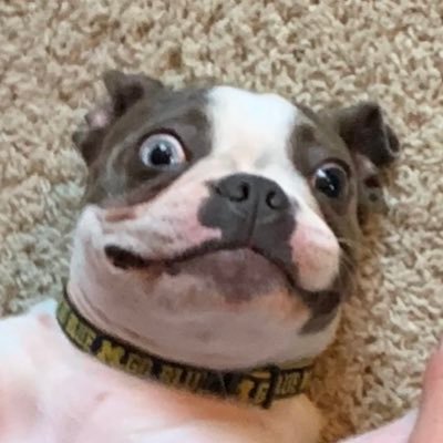 LexxiThomas's profile picture. 